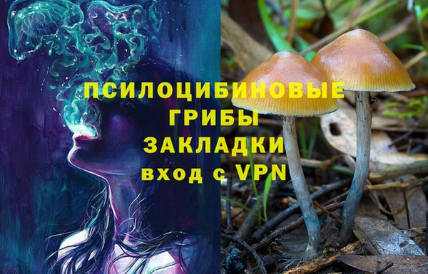 ешки Алексеевка