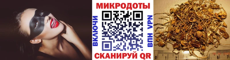 мориарти телеграм  Александровское  Галлюциногенные грибы GOLDEN TEACHER  купить  