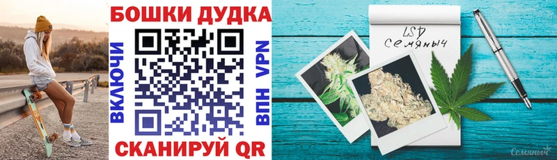где найти Александровское Канабис семена